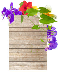 Wall Mural - lianes, orchidées, hibiscus et plumeria sur fond bois