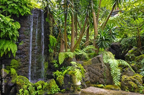 Fototapeta na wymiar Monte hill with exotic garden, Madeira - Funchal, Portugal