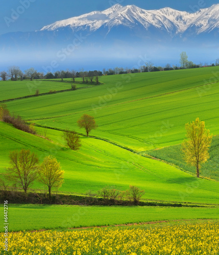 Plakat Pireneje  zielona-dolina