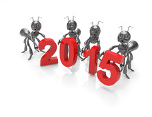 New Year 2015 With 3d Cartoon Ants-concept