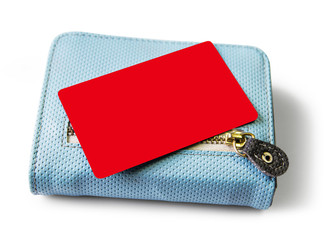 Canvas Print - Blank credit card and  wallet on white background