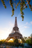 Fototapeta Paryż - Eiffel Tower during spring time in Paris, France