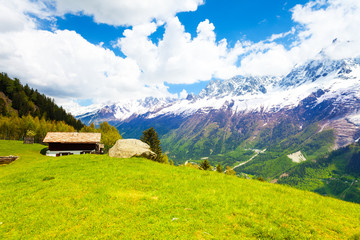Wall Mural - Meadow near Mont Blanc, Alps in summer