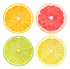 Leinwandbilder - Isolated citrus fruits. Slices of orange, pink grapefruit, lime and lemon fruits isolated on white background