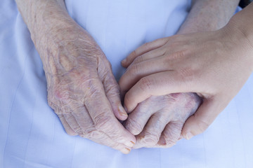 Elderly and young woman hands