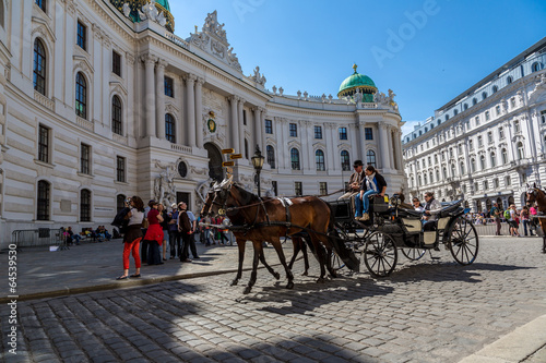 Horse-drawn Carriage in Vienna at the famous Stephansdom Cathedr Poster