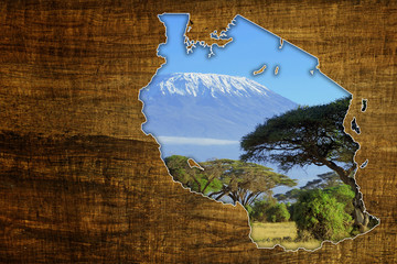 tanzania wildlife map design