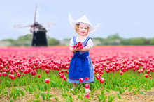 Pretty Girl In Dutch Costume In Tulips Field With Windmill