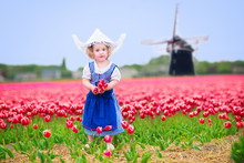 Girl In National Dutch Costume In Tulips Field With Windmill