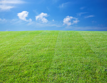 Green Lawn With Blue Sky