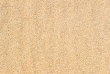 Fototapeta Psy - Sand background