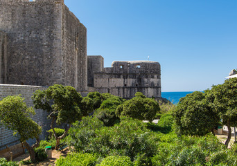 Wall Mural - Greenery Around Dubrovnik Wall