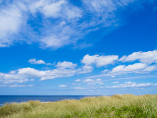 Wall Mural - urlaub am meer