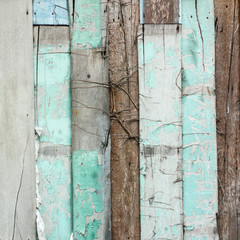 Wall Mural - Old Grunge wooden wall texture,Tropical