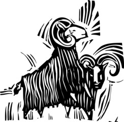 Two Rams