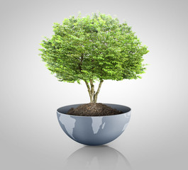 Wall Mural - green plant on the earth,globe