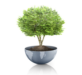 Wall Mural - green plant on the earth,globe