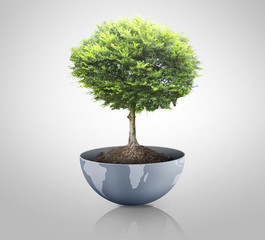 Wall Mural - green plant on the earth,globe