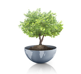 Wall Mural - green plant on the earth,globe