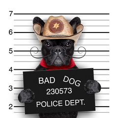 Wall Mural - mexican mugshot dog