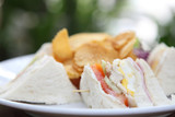 Fototapeta Tulipany - Club sandwich with on wood background