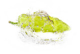 Fototapeta Kuchnia - green pepper with water splash isolated