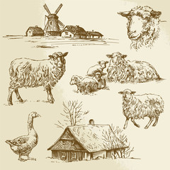 Poster - rural landscape, farm animal - hand drawn illustration