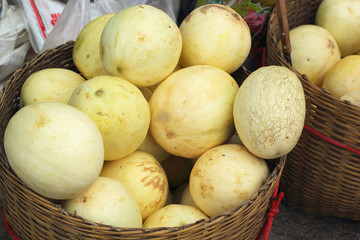 yellow cantaloupe - asia fruit in the market