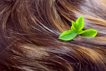 Wall Mural - Hair care concept: beautiful shiny hair with green leaves