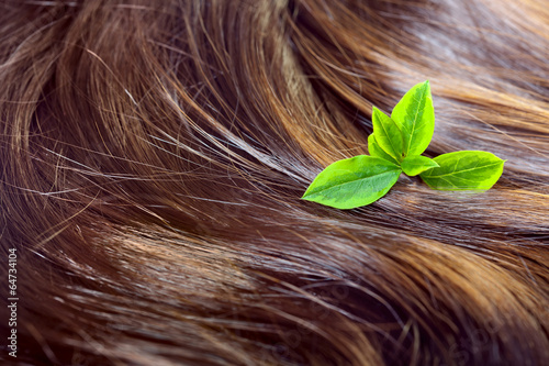 Fotografering Hair care concept: beautiful shiny hair with green leaves