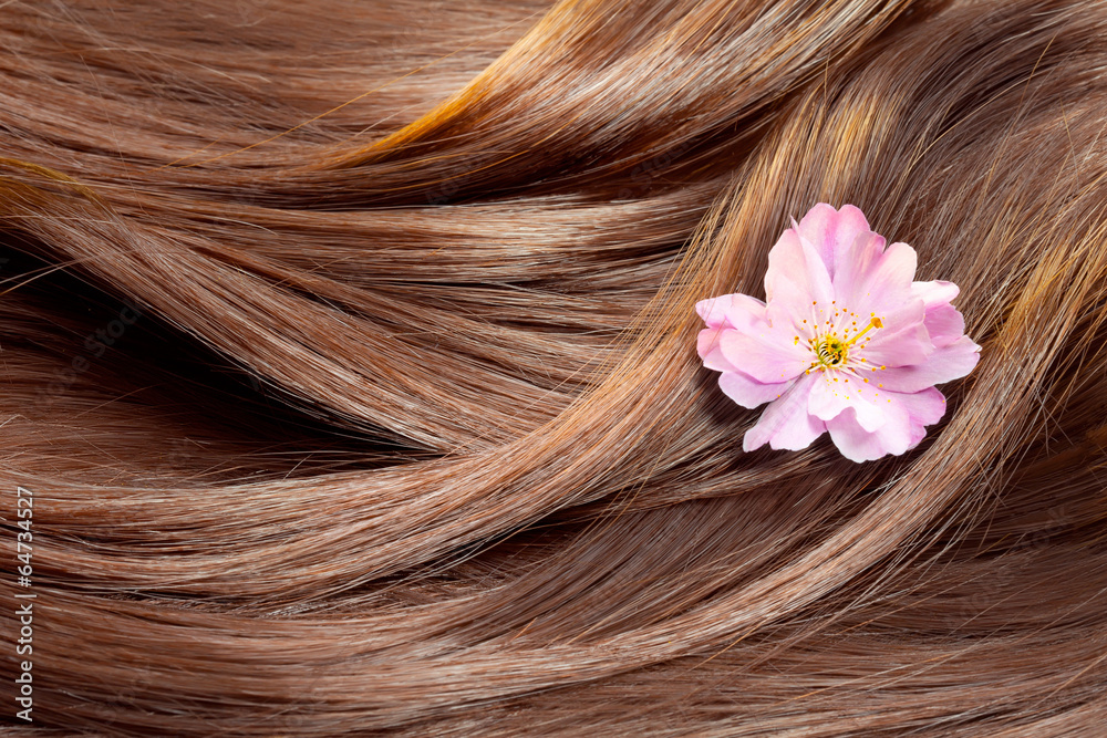 Fotografering Beautiful healthy shiny hair texture with a flower