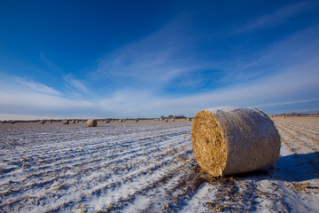 Hay Bales in Winter