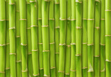 Fototapeta Sypialnia - green bamboo background