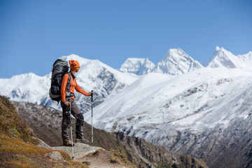 Wall Mural - Hiker posing in Himalayas in front of big mountains