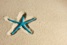 Starfish Lying On The Sand