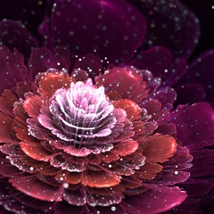 Fototapete - abstract red flower