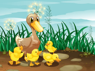 Poster - A duck and her ducklings near the grassland