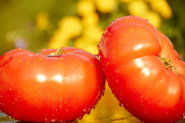 Two tomatos and Water