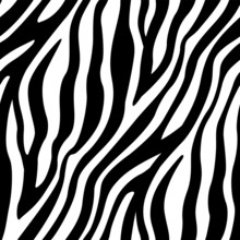 Zebra Skin Stripes Pattern Free Stock Photo Public Domain Pictures
