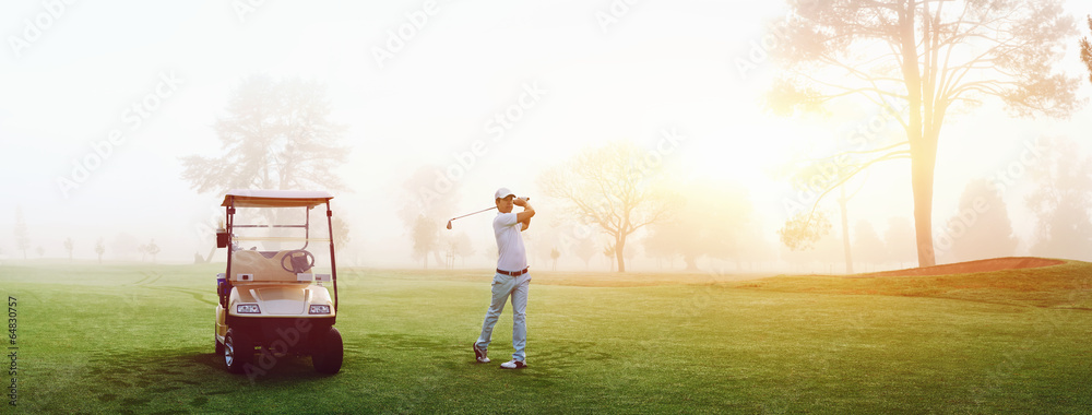 golf course man - obrazy, fototapety, plakaty 