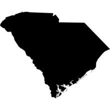 High Detailed Vector Map - South Carolina.