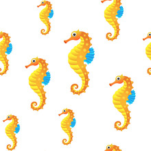 Sea Horse Background