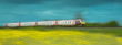 Train speeding by in the countryside