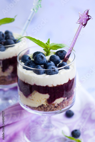 Fototapeta na wymiar blueberry parfait