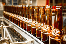 Beer Bottles On The Conveyor Belt