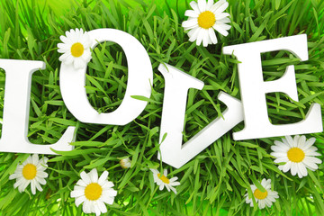 Grass with flowers and white text Love on it