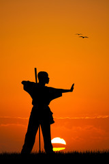 Poster - martial art at sunset