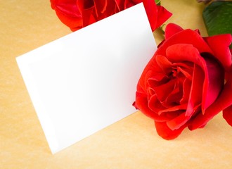 rose and blank gift card for text on parchment paper background