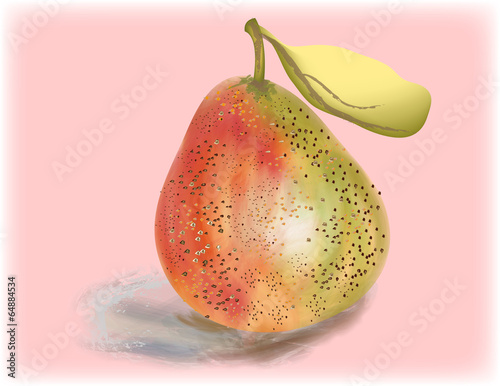 Naklejka - mata magnetyczna na lodówkę Vector picture painted pear fruit