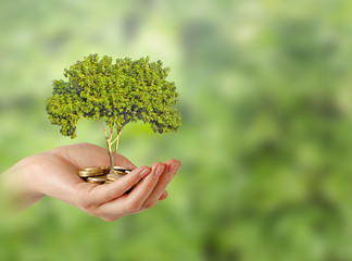 Investing to green business